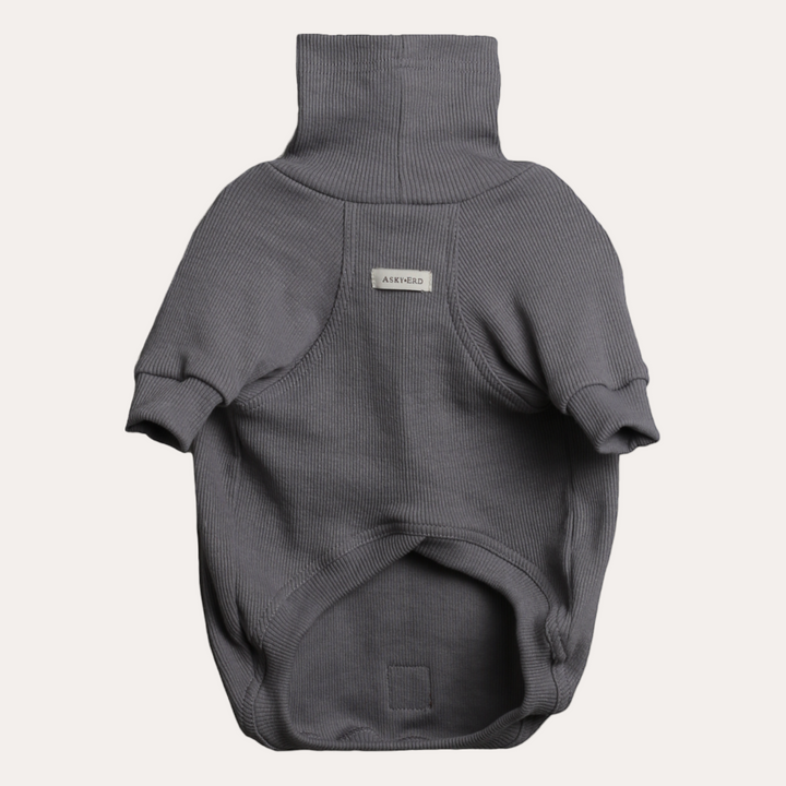 Turtleneck Tshirt | Coin