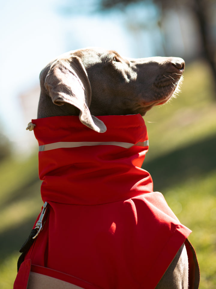 Raincoat | Scarlet Red