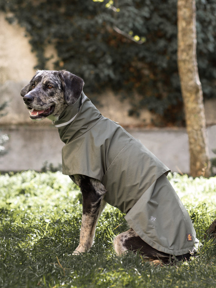 Raincoat | Juniper Green