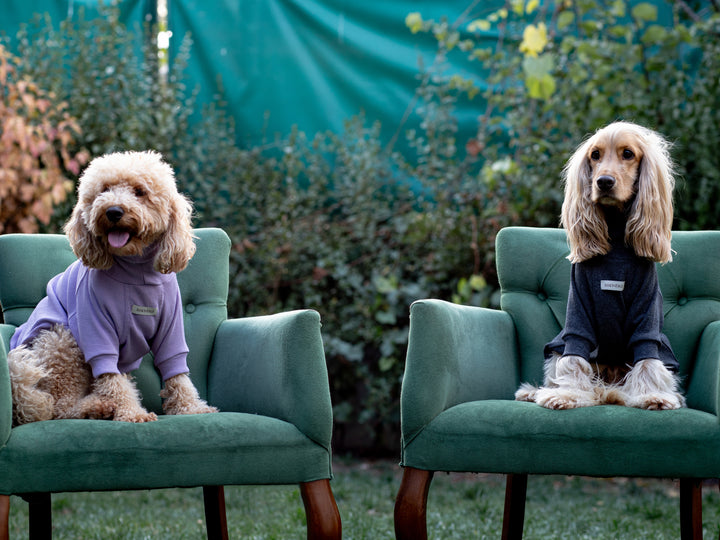 Turtleneck Tshirt | Lavender