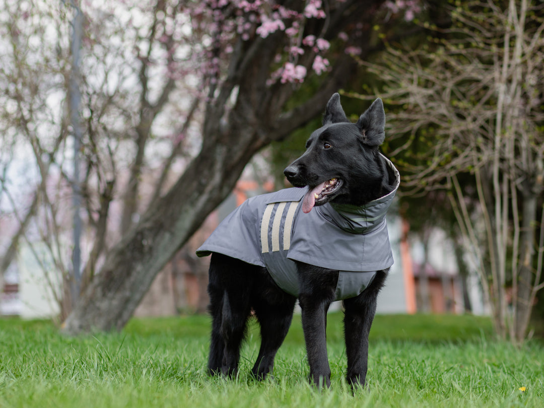 Raincoat | Steel Grey