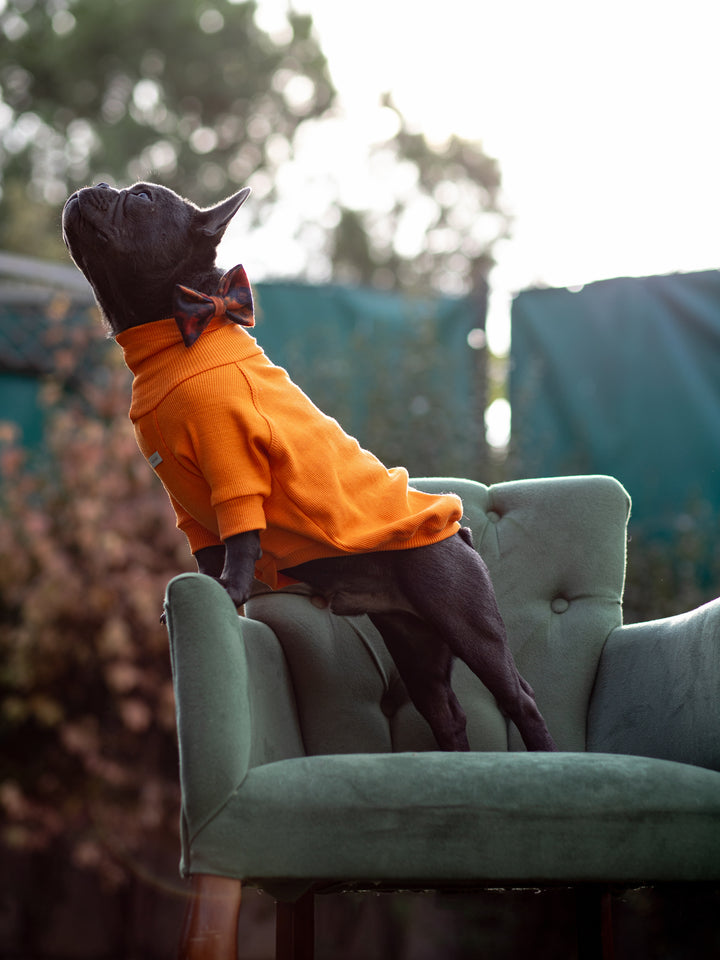 Turtleneck Tshirt | Tangerine