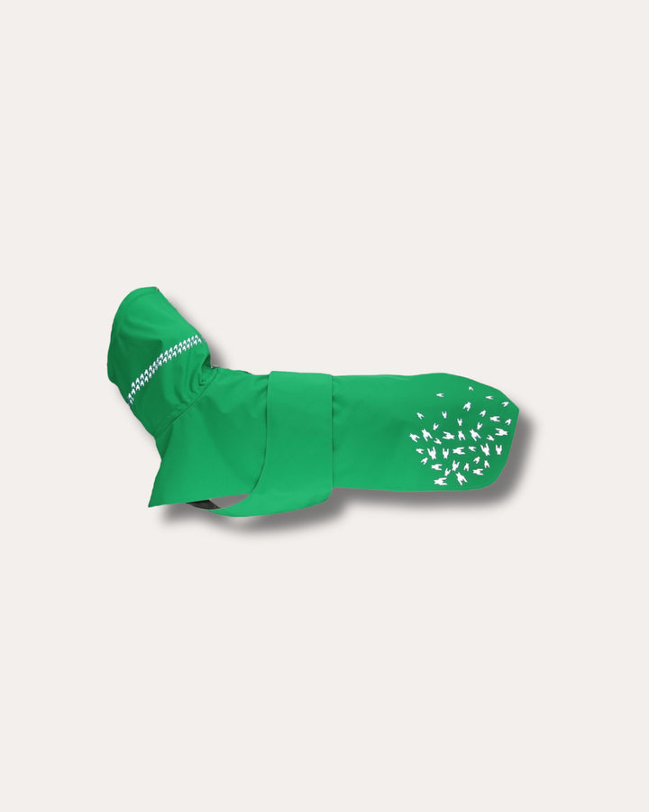 Seattle Raincoat | Evergreen