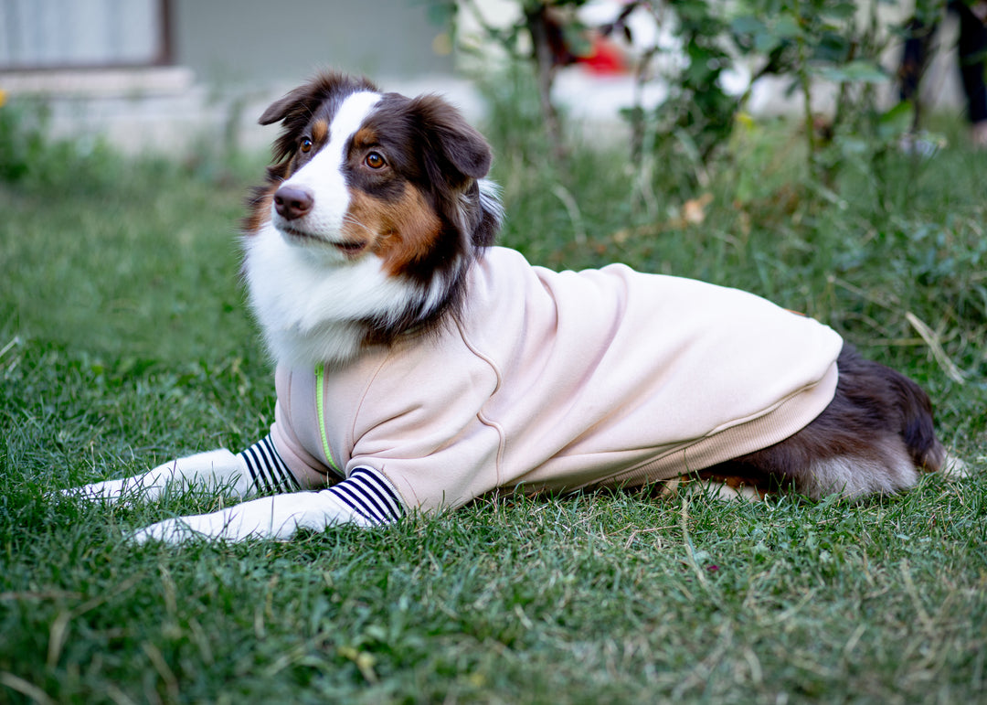 Bomber Jacket | Vanilla