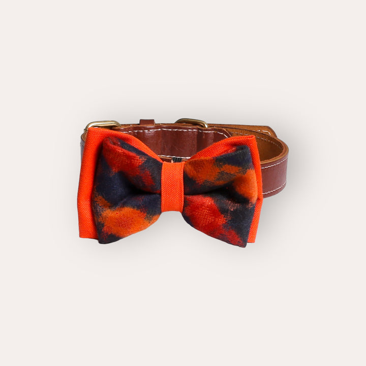 | Bow Tie | Navy Orange