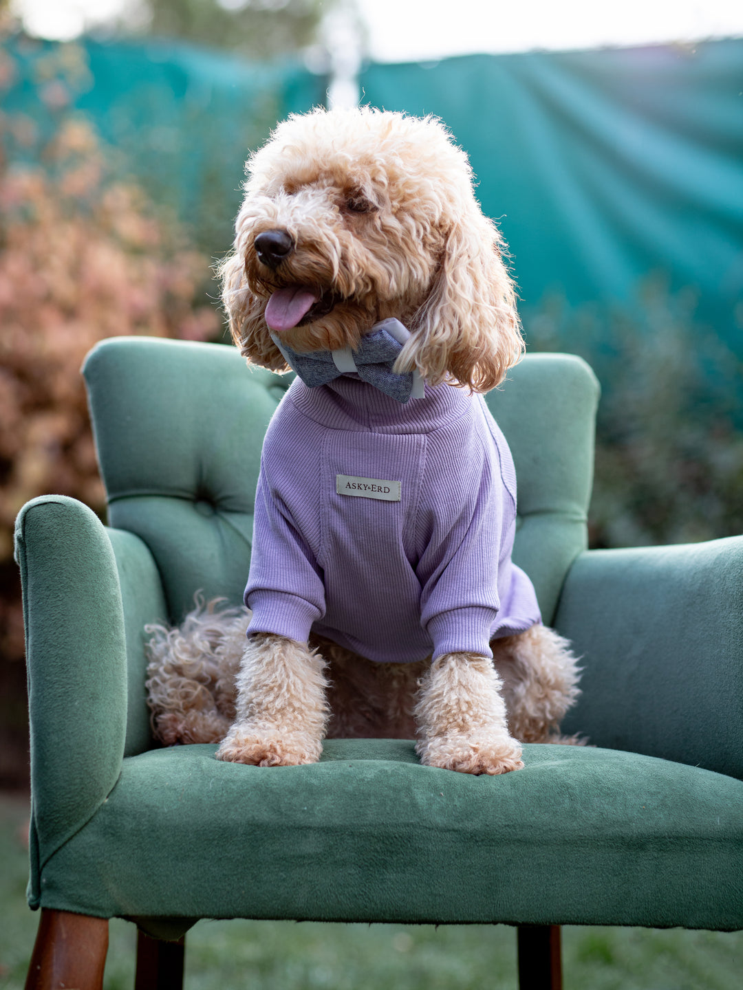 Turtleneck Tshirt | Lavender