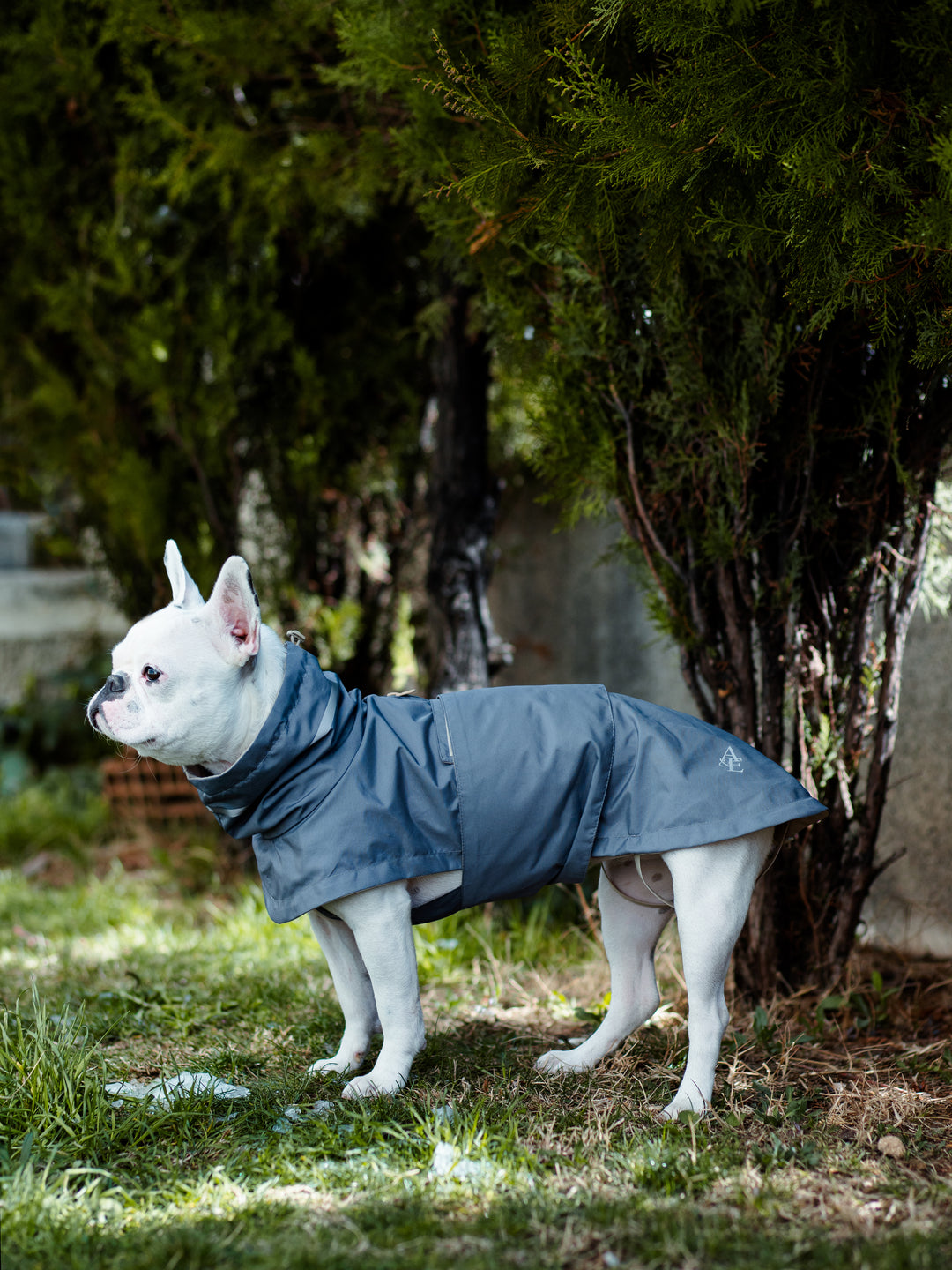 Raincoat | Steel Grey