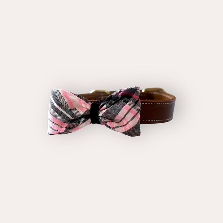 | Bow Tie | Bubblegum