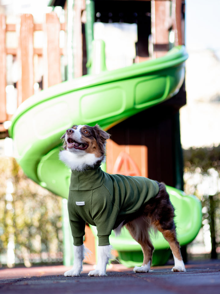 Turtleneck Tshirt | Olive Green