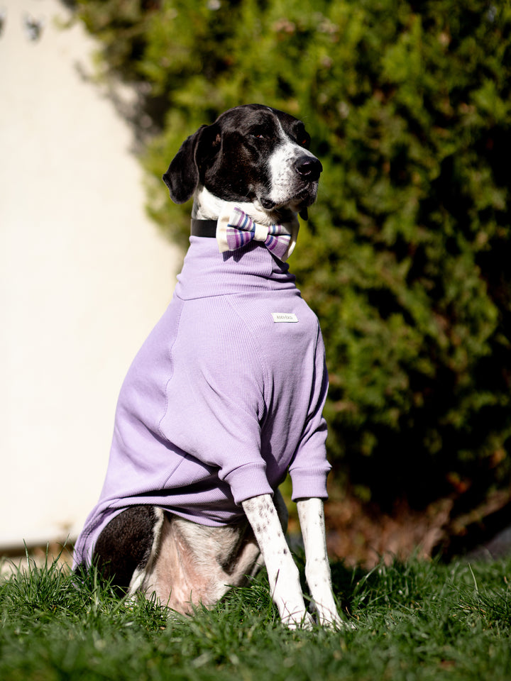 Turtleneck Tshirt | Lavender