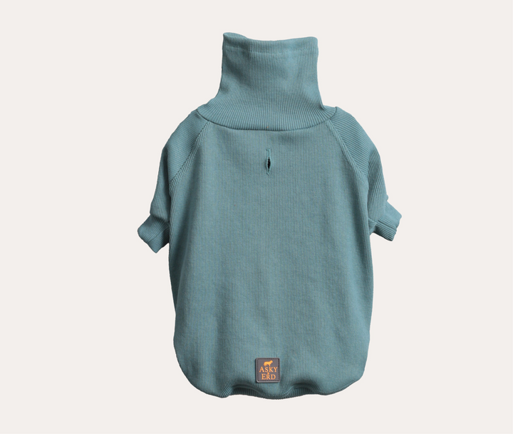 Turtleneck Tshirt | Ocean Sage