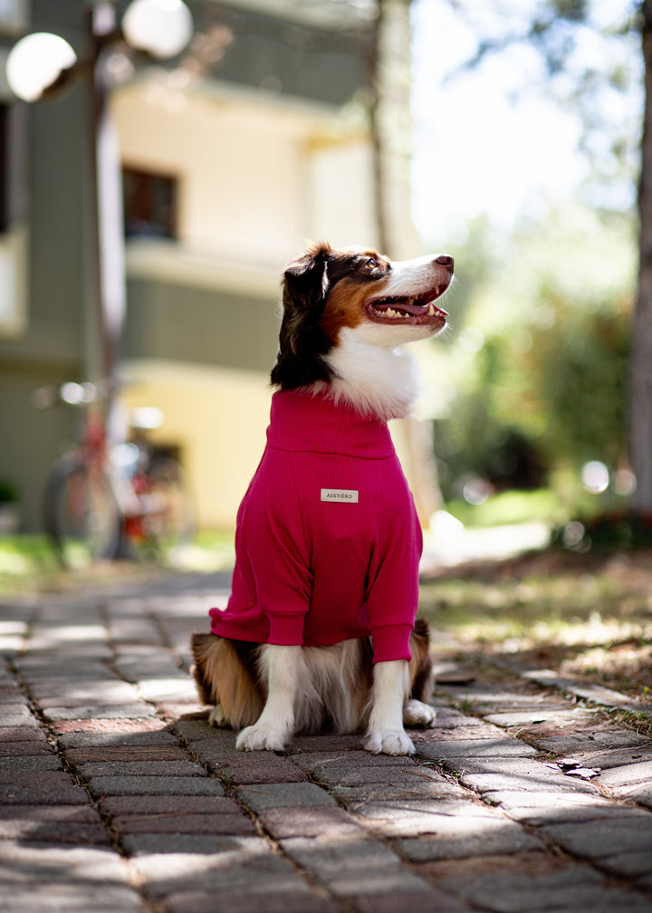 Turtleneck Tshirt | Magenta