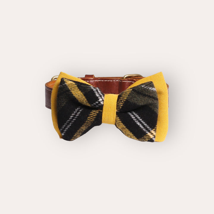 | Bow Tie | Mustard