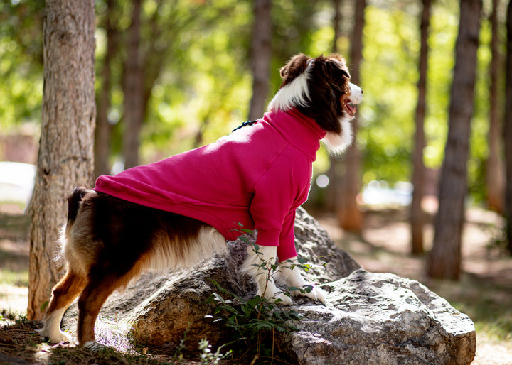 Turtleneck Tshirt | Magenta