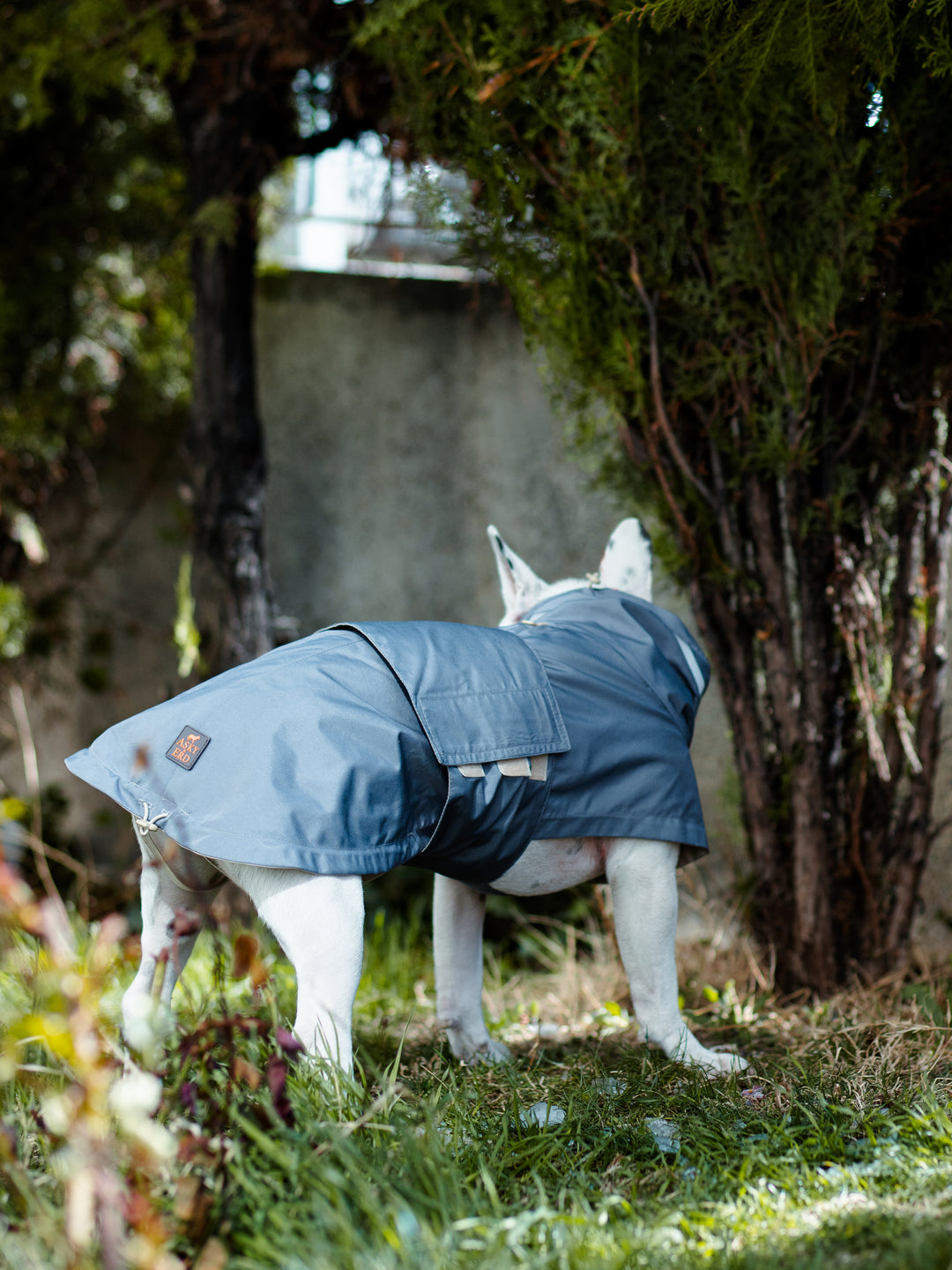 Raincoat | Steel Grey