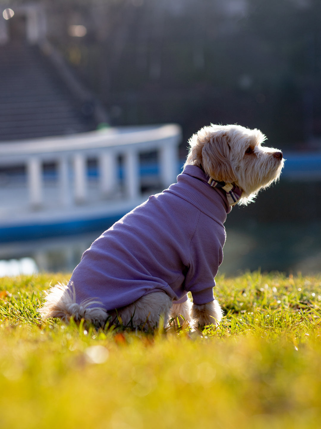 Turtleneck Tshirt | Lavender