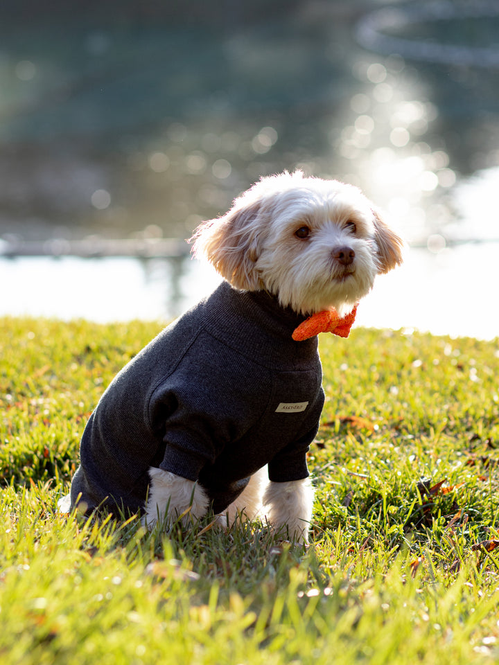 Turtleneck Tshirt | Graphite