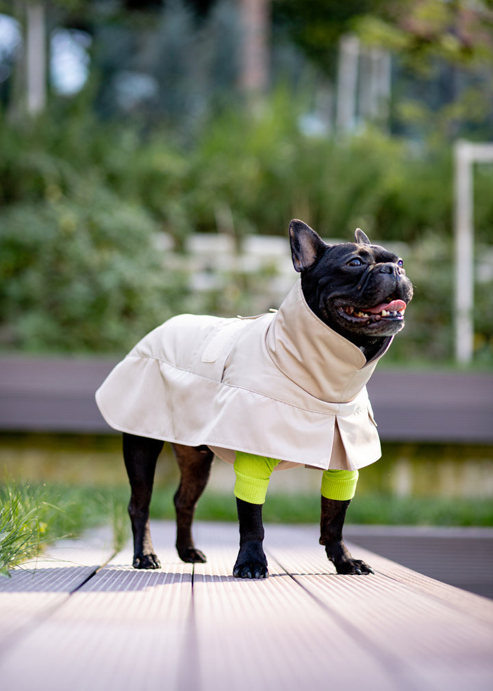 Turtleneck Tshirt | Lime