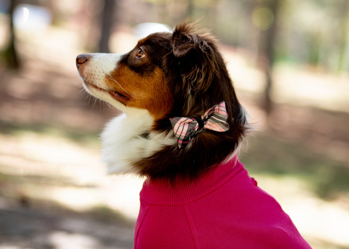 Turtleneck Tshirt | Magenta