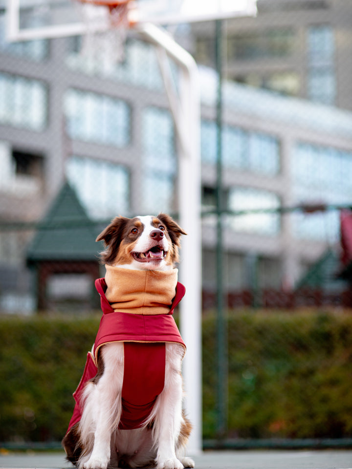 Extreme Wheather Coat | Maroon