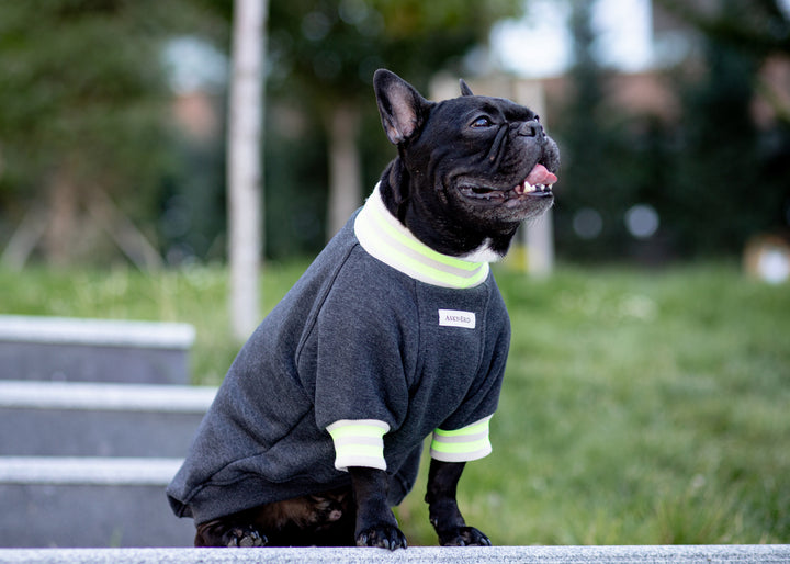 Manhattan Sweatshirt | Graphite