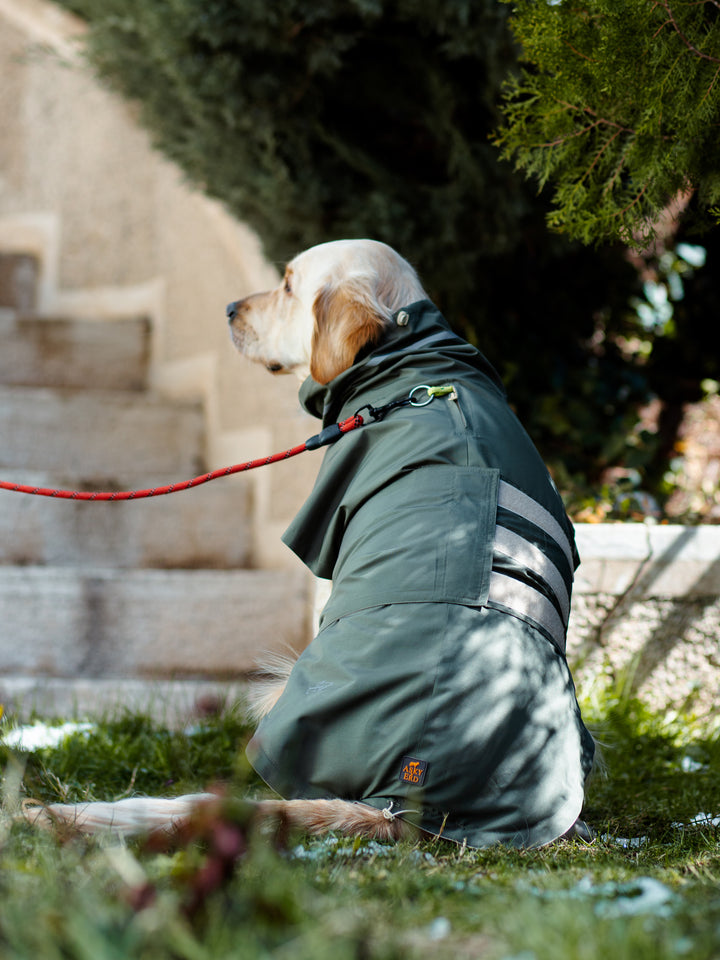 Raincoat | Juniper Green