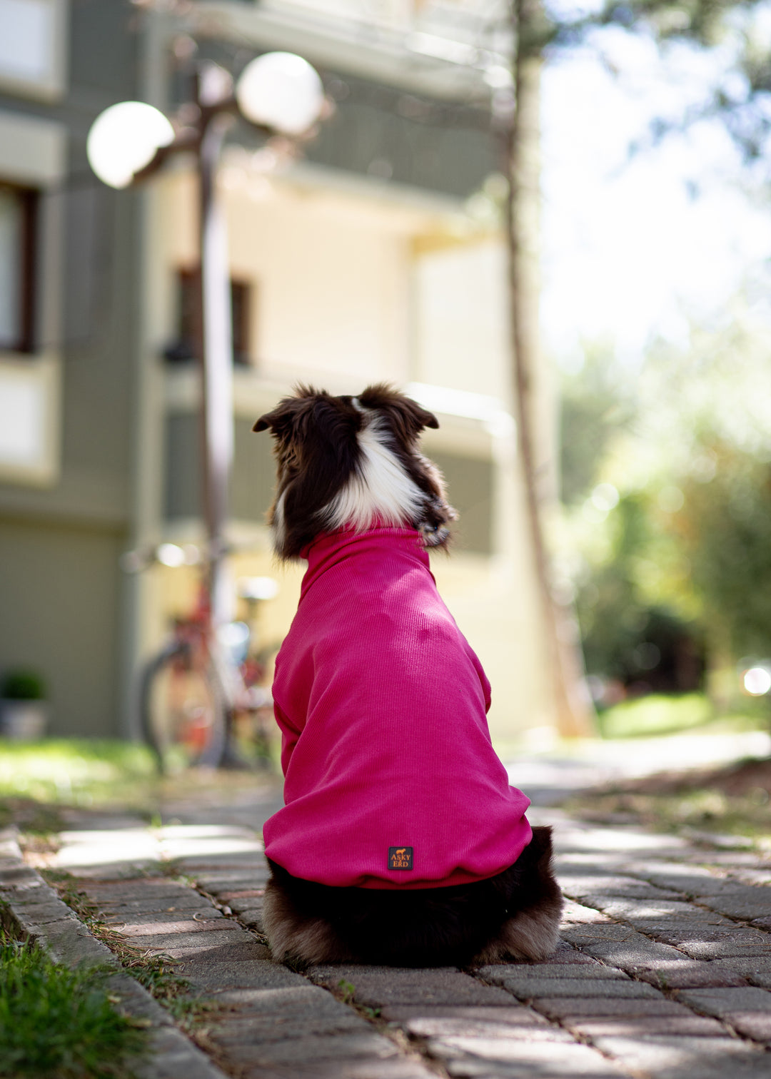 Turtleneck Tshirt | Magenta