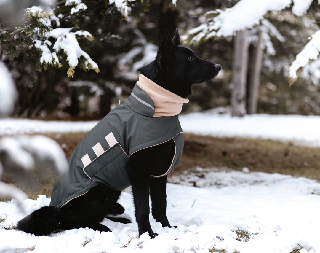 Extreme Wheather Coat | Forest Green