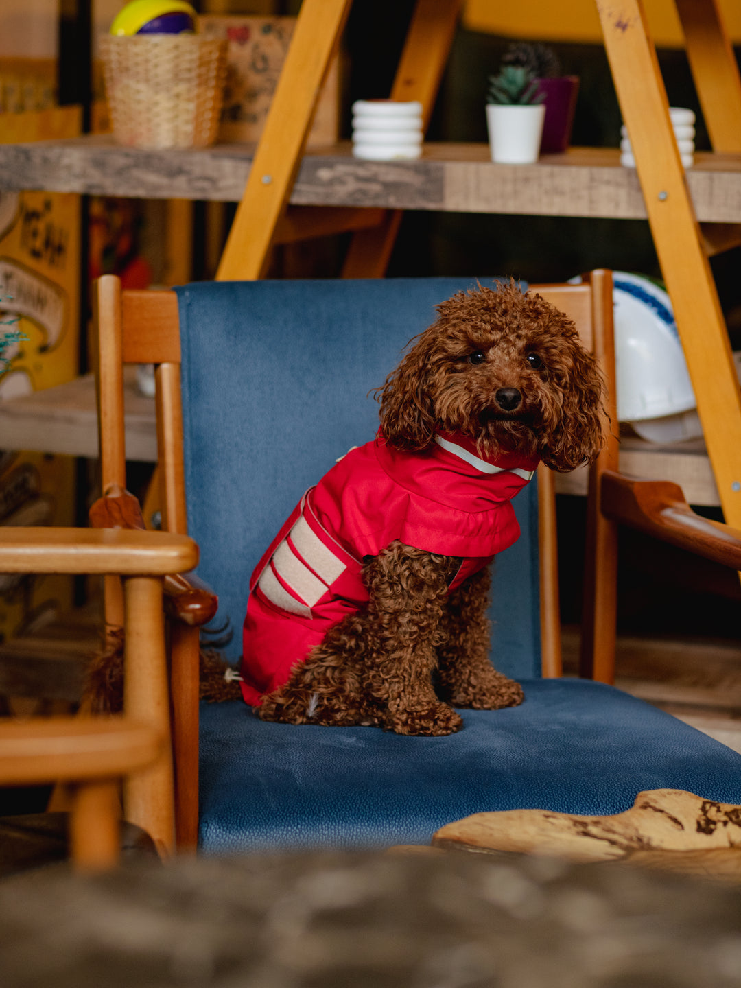 Raincoat | Scarlet Red