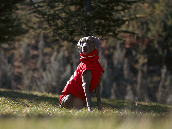 Raincoat | Scarlet Red