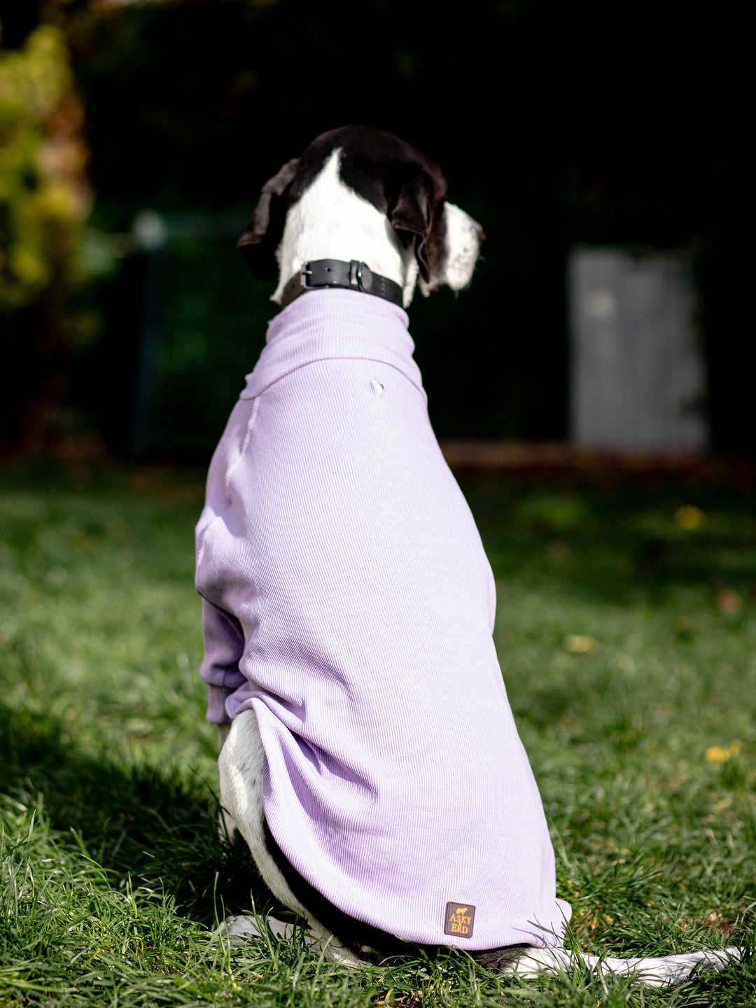 Turtleneck Tshirt | Lavender