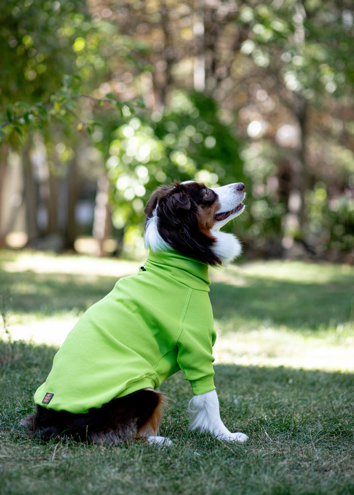 Turtleneck Tshirt | Lime