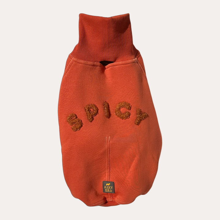 High Neck Cozy Sweater | Spicy