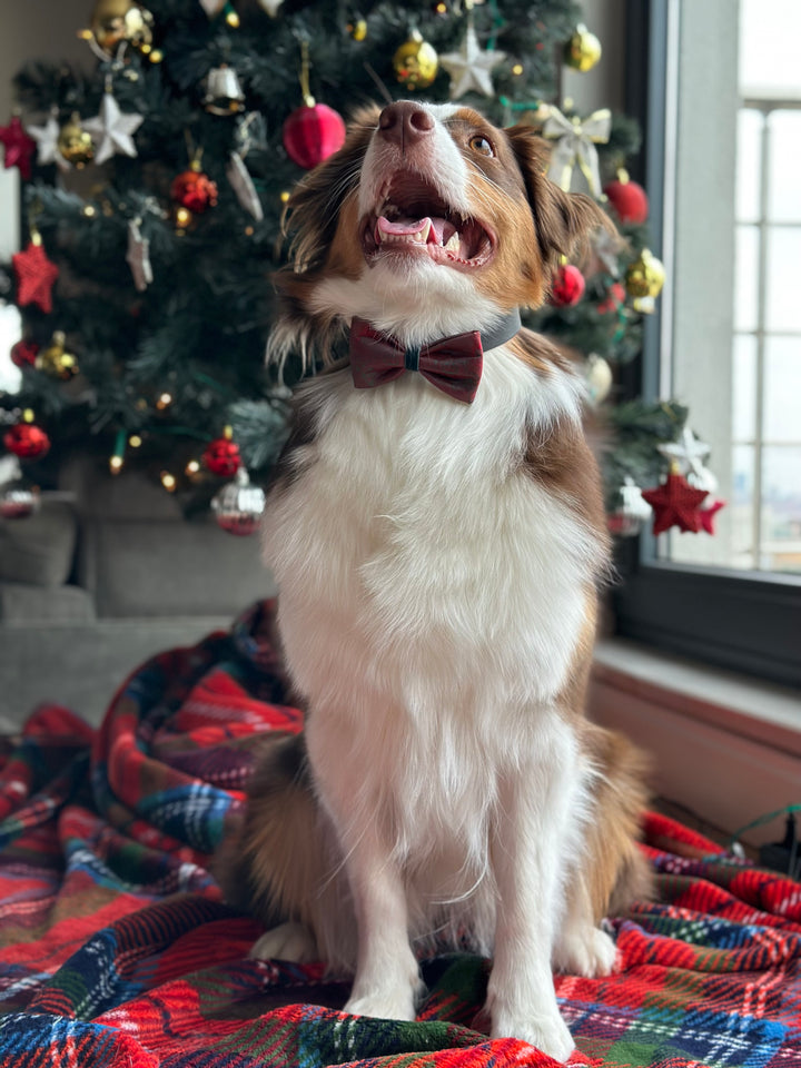 | Red&Green Satin Bow Tie | Deers