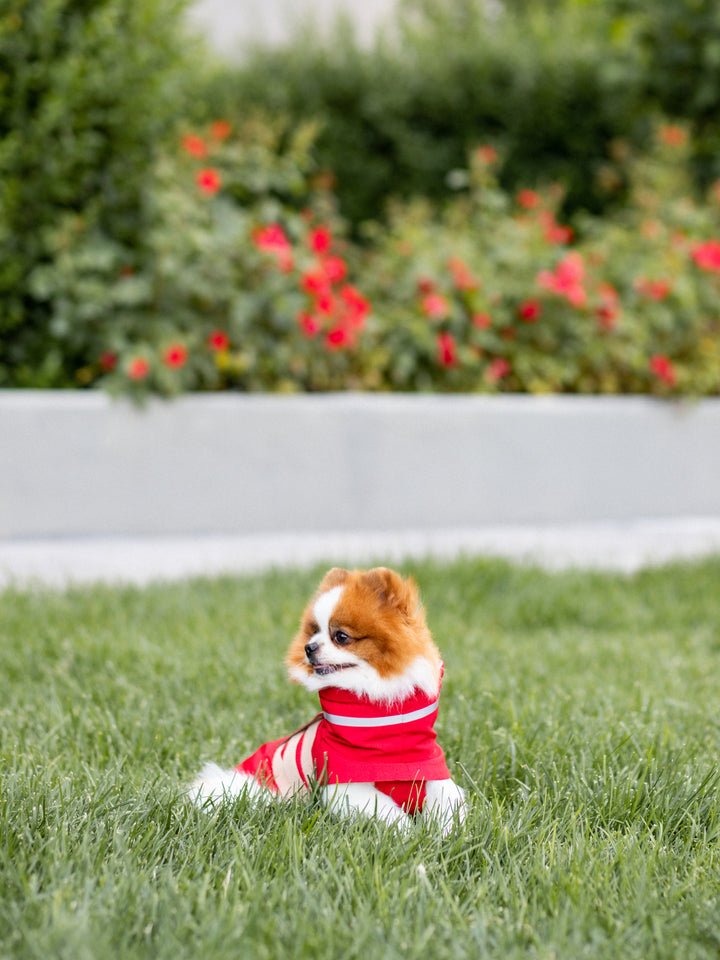 Raincoat | Scarlet Red