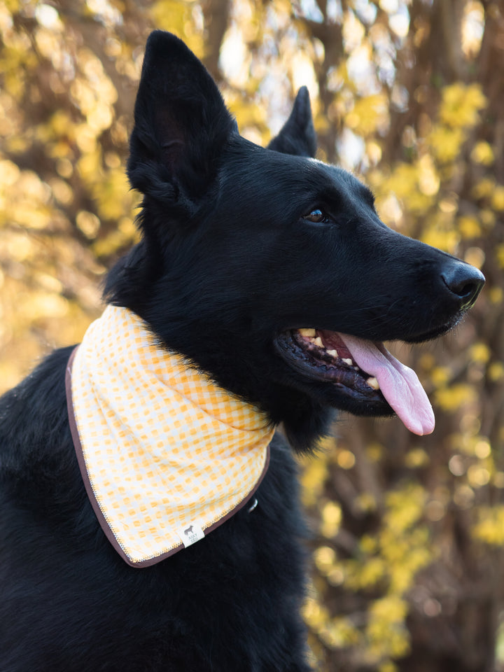 | Bandana | Yellow Plaid