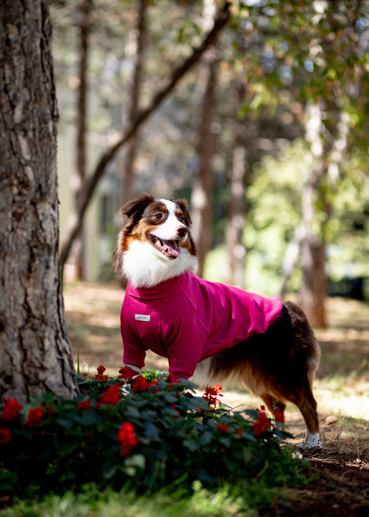 Turtleneck Tshirt | Magenta