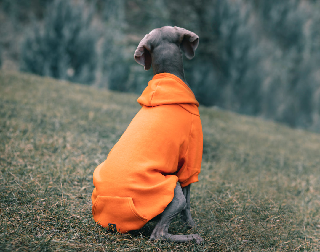 COZY HOODIE | TANGERINE