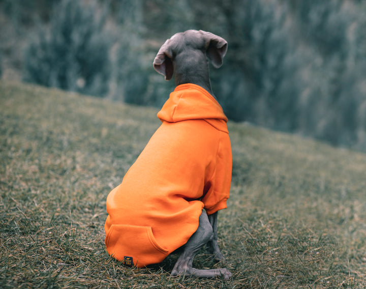 COZY HOODIE | TANGERINE