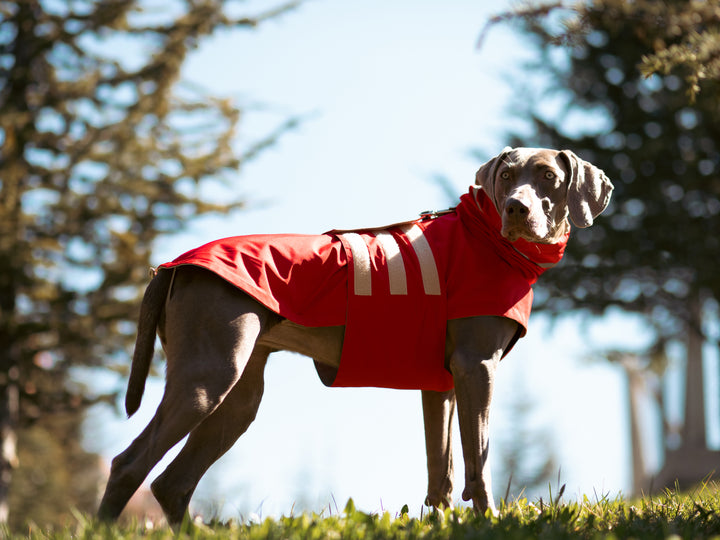 Raincoat | Scarlet Red