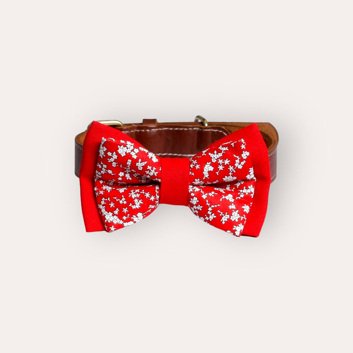 | Bow Tie | White Flowers