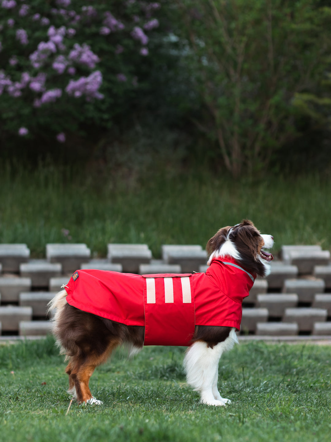 Raincoat | Scarlet Red