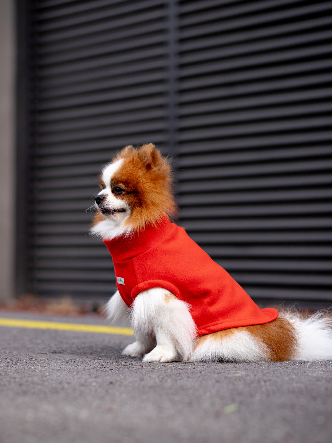 Cachet Vest | Candy Apple