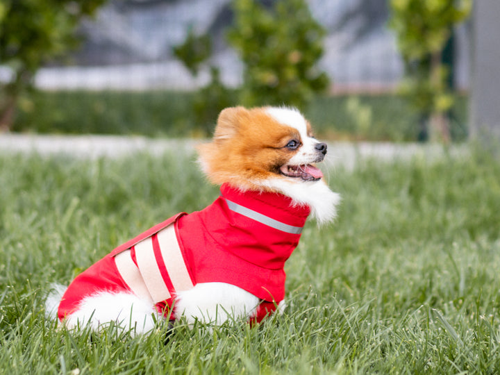 Raincoat | Scarlet Red