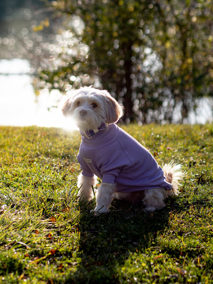 Turtleneck Tshirt | Lavender