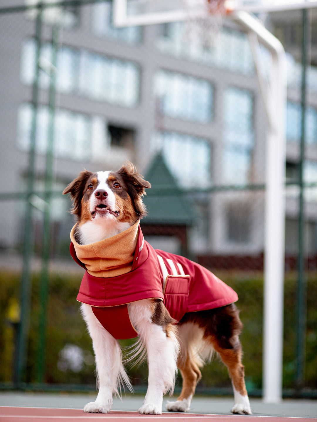 Extreme Wheather Coat | Maroon