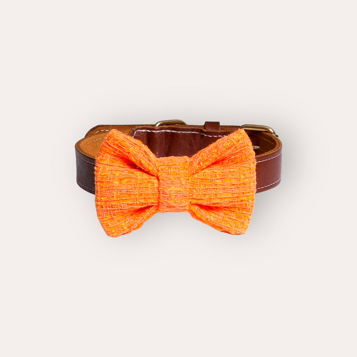 | Bow Tie | Orange