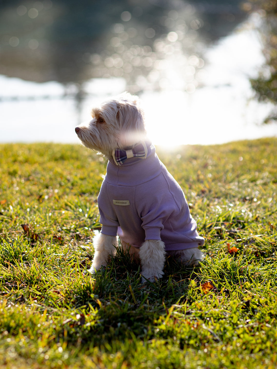 Turtleneck Tshirt | Lavender