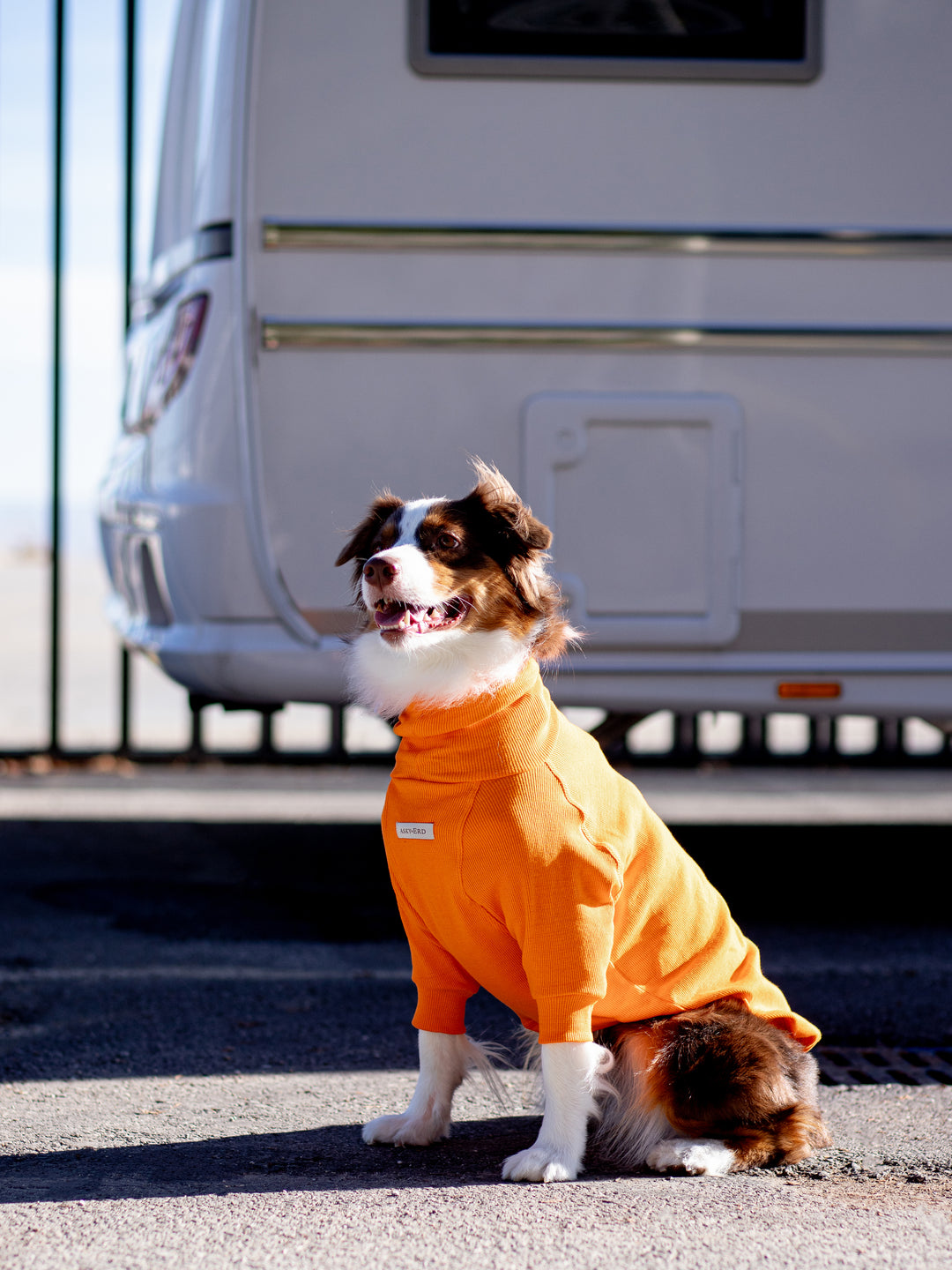 Turtleneck Tshirt | Tangerine