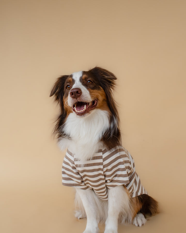 Heritage Stripe Tshirt | Oat Latte